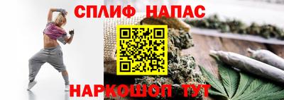 стаф Ярославль
