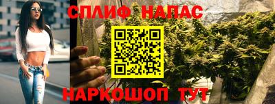 стаф Ярославль
