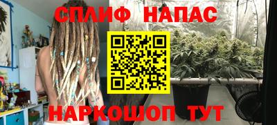 стаф Ярославль