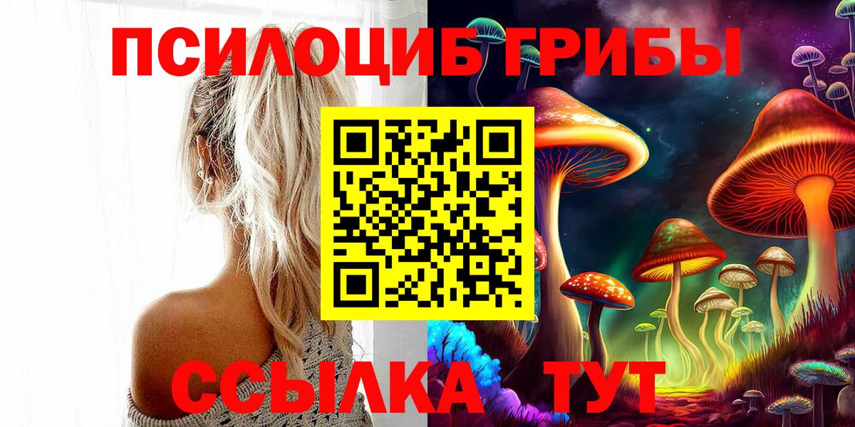 Псилоцибиновые грибы Cubensis Благодарный
