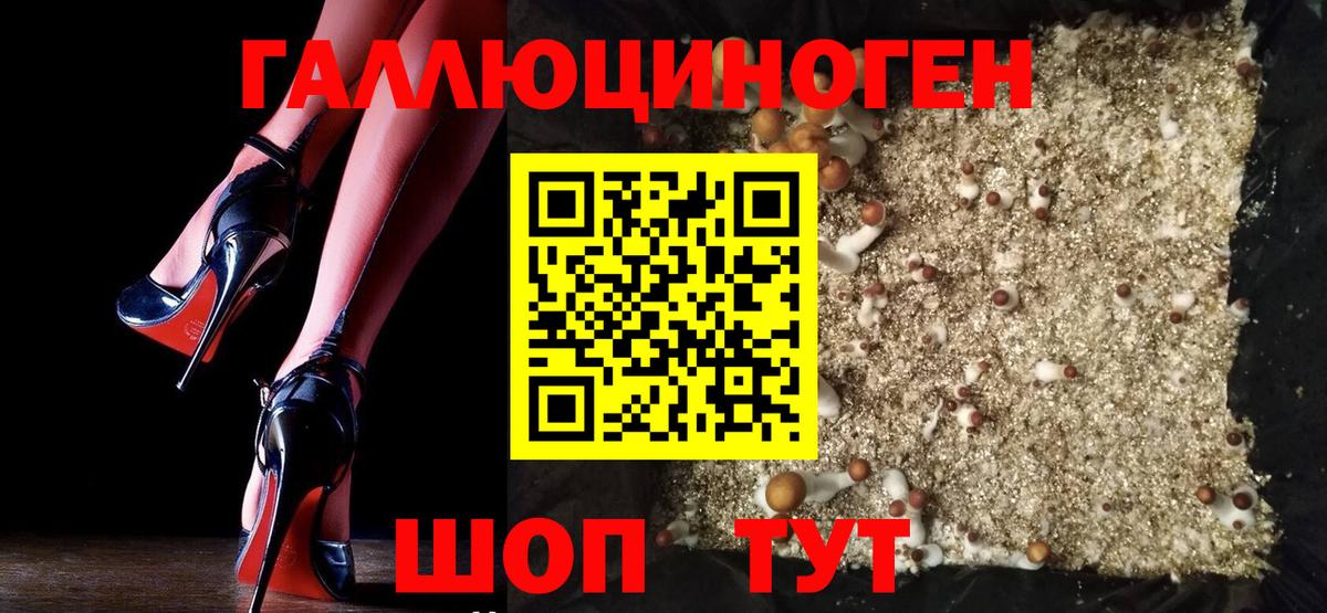 Псилоцибиновые грибы Psilocybe  Вход с VPN  Благодарный 